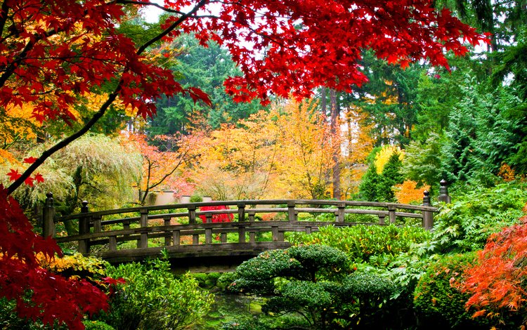 парк, мост, осень, красивая осень, park, bridge, autumn, beautiful autumn