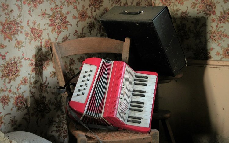 музыка, инструмент, гармошка, music, tool, accordion