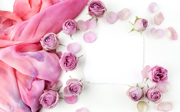 бутоны, розы, романтик,  цветы, роз, пинк, buds, roses, romantic, flowers, pink