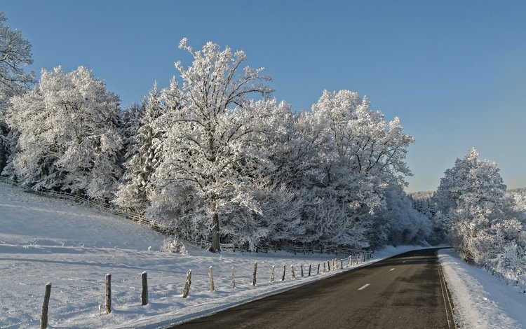 небо, дорога, деревья, снег, зима, ветки, иней, the sky, road, trees, snow, winter, branches, frost