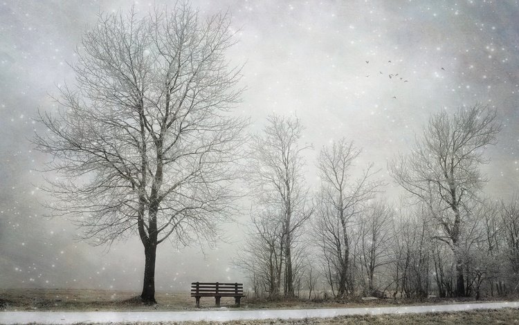 снег, дерево, зима, скамья, snow, tree, winter, bench