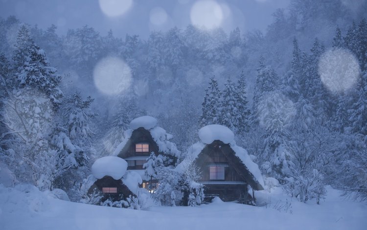 деревья, shirakawa-go, снег, лес, зима, домики, деревня, япония, японии, сиракава, shirakawa, trees, snow, forest, winter, houses, village, japan