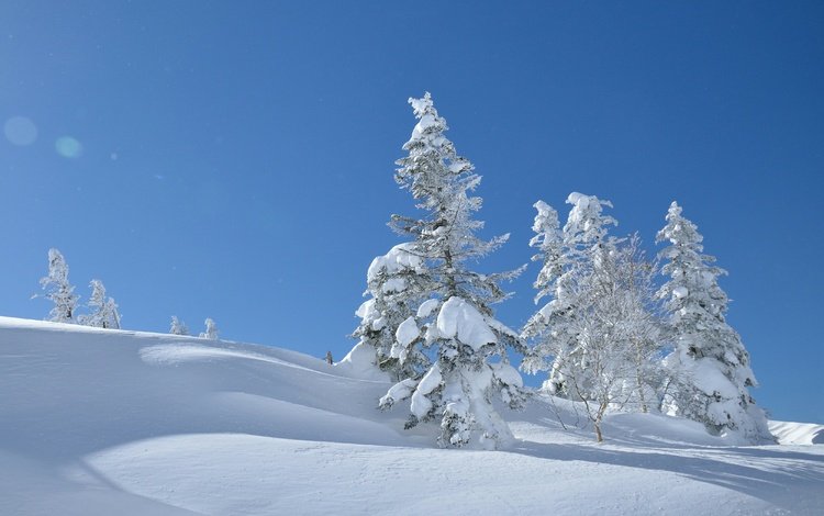 небо, деревья, снег, зима, япония, сугробы, японии, yatsugatake mountains, the sky, trees, snow, winter, japan, the snow