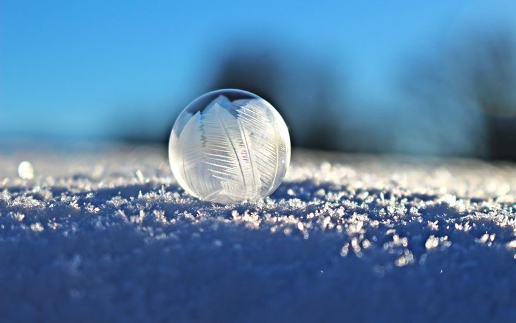 снег, мыльный пузырь, eiskristalle, зима, семка, макро, зимой, шар, семки, макросъемка, пузырь, мыльный, мыло, snow, winter, syomka, in the winter, macro, ball, semyon, bubble, soap