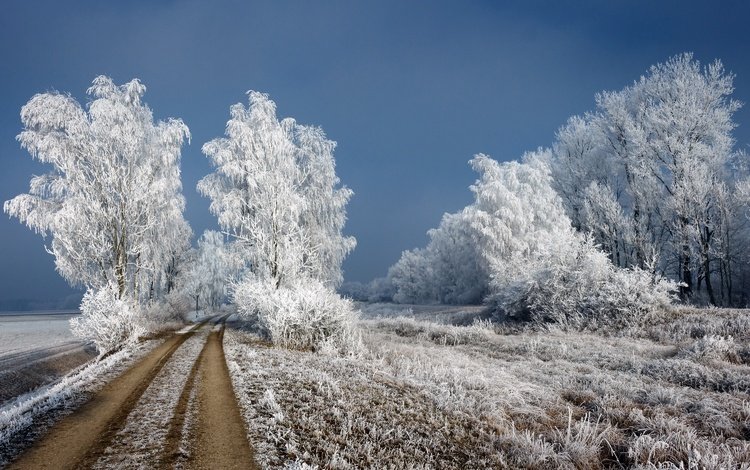 дорога, зима, березы, иней, road, winter, birch, frost