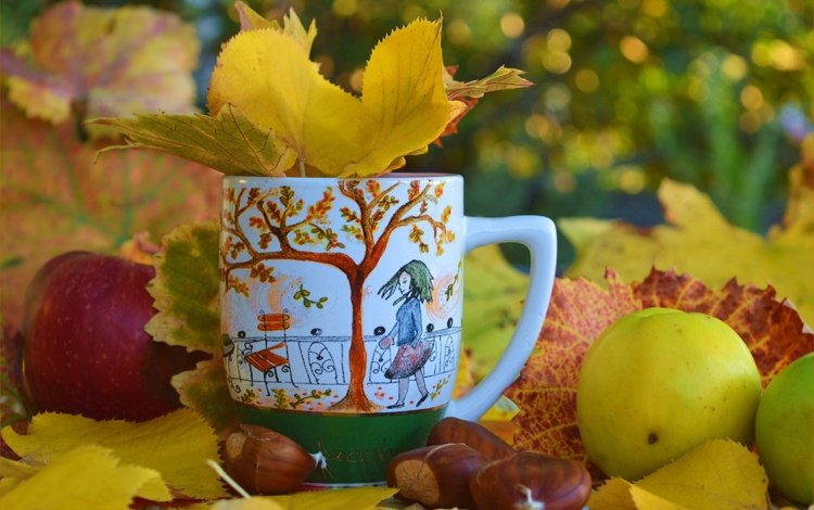 листья, яблоки, осень, чашка, осен, каштаны,  листья, leaves, apples, autumn, cup, chestnuts