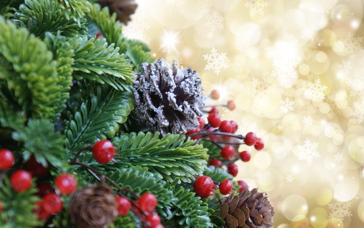 новый год, елка, ягоды, рождество, шишки, декорация, счастливого рождества, рождественское украшение, new year, tree, berries, christmas, bumps, decoration, merry christmas, christmas ornament