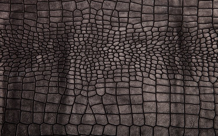 текстура, фон, черный, кожа, блака, етекстура, crocodile skin, кожа крокодила, texture, background, black, leather, crocodile leather