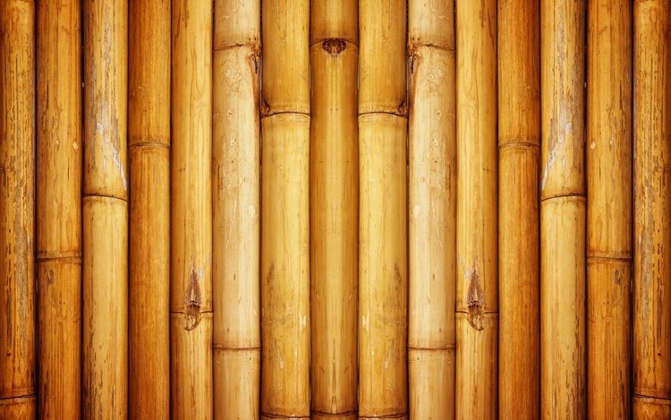 текстура, узор, стена, бамбук, texture, pattern, wall, bamboo