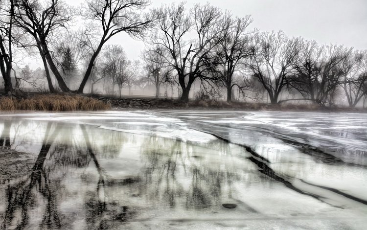 деревья, река, зима, отражение, лёд, trees, river, winter, reflection, ice