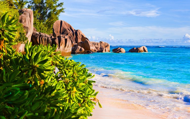 море, песок, пляж, отдых, тропики, сейшелы, sea, sand, beach, stay, tropics, seychelles