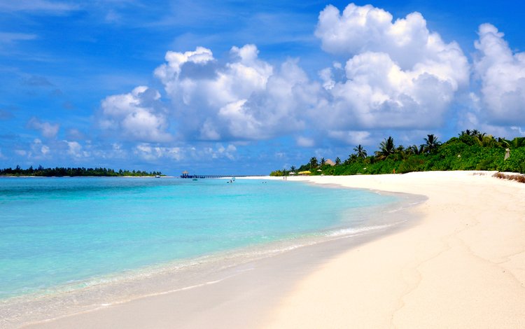 море, пляж, отдых, остров, мальдивы, sea, beach, stay, island, the maldives