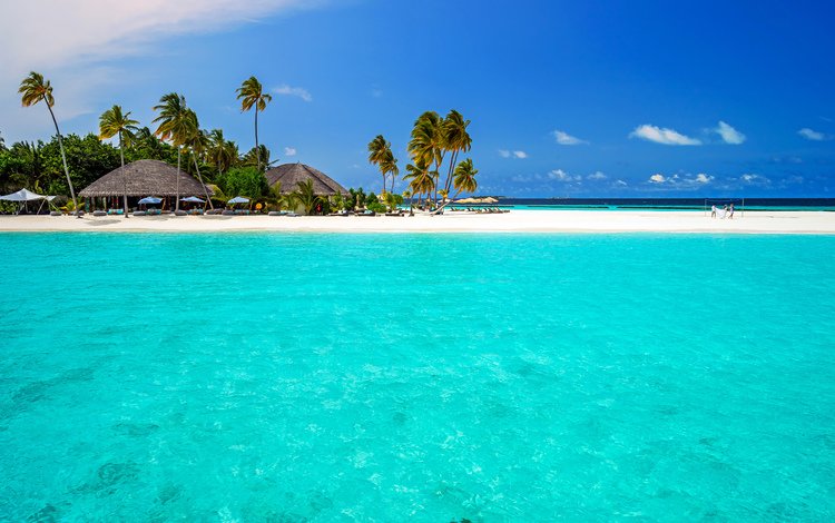 море, отмель, песок, пляж, пальмы, отдых, остров, лагуна, тропики, sea, shoal, sand, beach, palm trees, stay, island, laguna, tropics