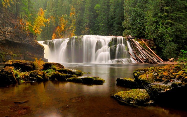 лес, водопад, осень, forest, waterfall, autumn