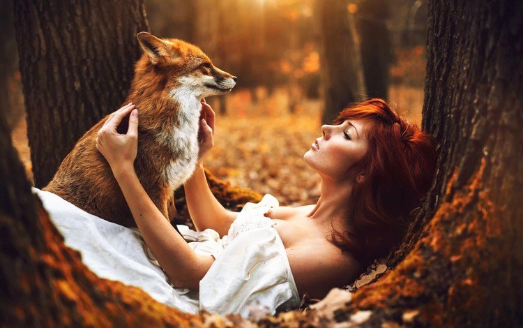 лес, животные, осень, девушки, лиса, рыжеволосая, forest, animals, autumn, girls, fox, redhead