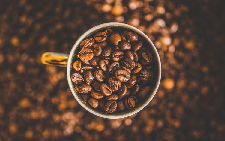 зерна, кофе, чашка, кофе в зернах, grain, coffee, cup, coffee bean