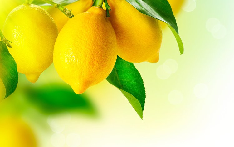 еда, фрукты, лимон, цитрус, лимоны, food, fruit, lemon, citrus, lemons