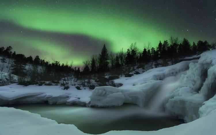 снег, лес, северное сияние, скандинавия, snow, forest, northern lights, scandinavia