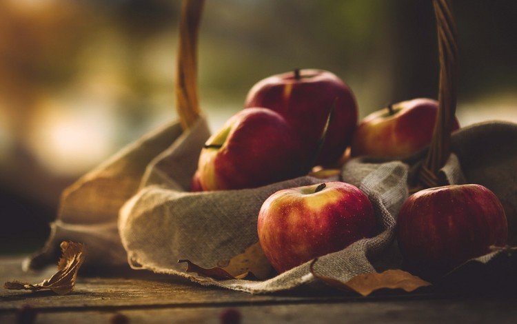фрукты, яблоки, осень, урожай, fruit, apples, autumn, harvest
