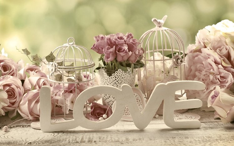 роз, розы, влюбленная, лепестки, пинк, сердечки, сердечка, романтик, дерева, пастель,  цветы, розовые розы, roses, love, petals, pink, hearts, heart, romantic, wood, pastel, flowers, pink roses
