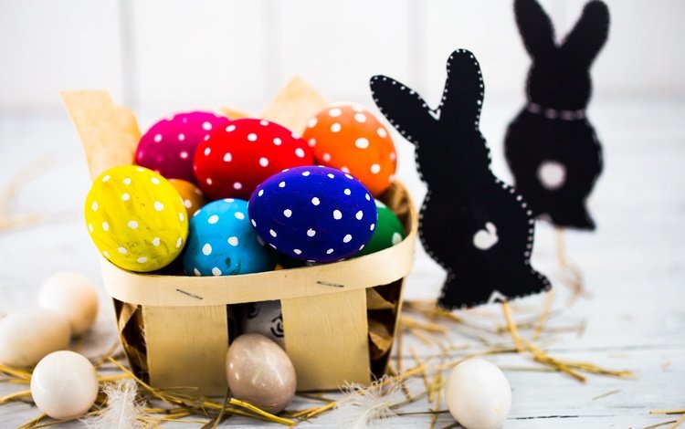 пасха, праздник, глазунья, весенние, зеленые пасхальные, довольная, зайка, красочная, яйца крашеные, the painted eggs, easter, holiday, eggs, spring, happy, bunny, colorful