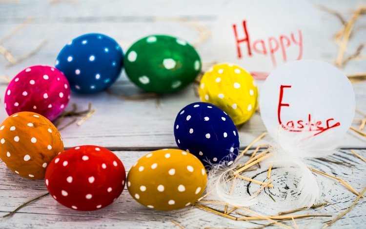 пасха, праздник, глазунья, весенние, зеленые пасхальные, довольная, красочная, яйца крашеные, easter, holiday, eggs, spring, happy, colorful, the painted eggs