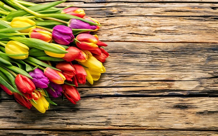 цветы, парное, весна, весенние, красочная, букет, тюльпаны, дерева, красива, тульпаны,  цветы, яркая, flowers, fresh, spring, colorful, bouquet, tulips, wood, beautiful, bright