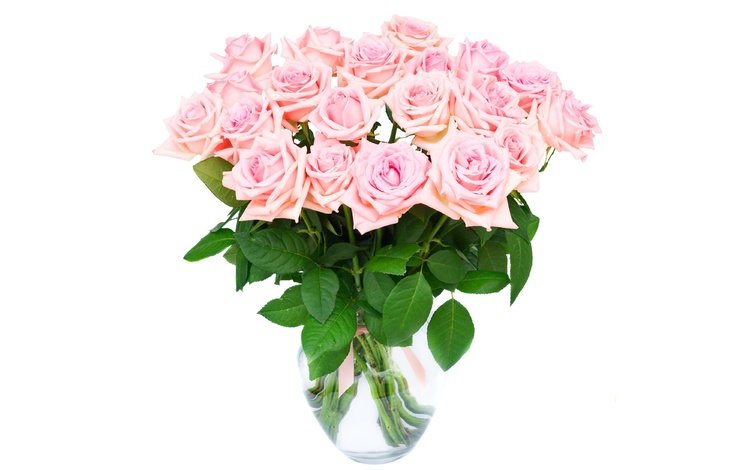 цветы, пинк, розы, букет, ваза, романтик,  цветы, розовые розы, роз, влюбленная, flowers, pink, roses, bouquet, vase, romantic, pink roses, love