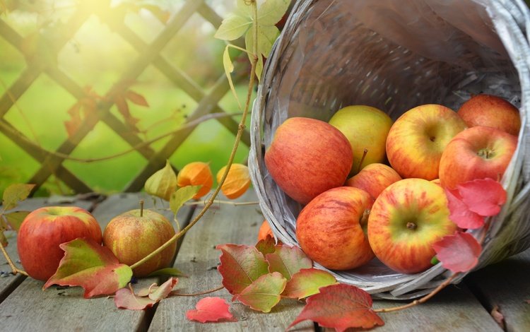 листья, ветки, фрукты, яблоки, доски, корзина, плоды, физалис, leaves, branches, fruit, apples, board, basket, physalis