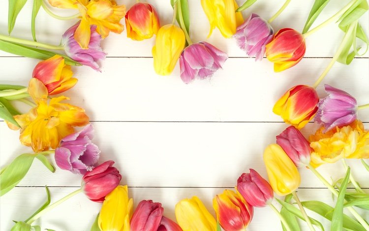цветы, парное, весна, весенние, красочная, букет, тюльпаны, дерева, красива, тульпаны,  цветы, яркая, flowers, fresh, spring, colorful, bouquet, tulips, wood, beautiful, bright