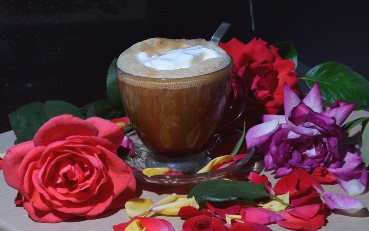 цветы, напиток, розы, лепестки, кофе, пенка, flowers, drink, roses, petals, coffee, foam