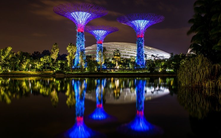 ночь, сингапур, деревья, сооружения, огни, gardens by the bay, сады, зелень, дизайн, парк, красота, пруд, night, singapore, trees, facilities, lights, gardens, greens, design, park, beauty, pond