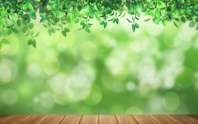 свет, листья, листва, доски, зеленый фон, боке, light, leaves, foliage, board, green background, bokeh