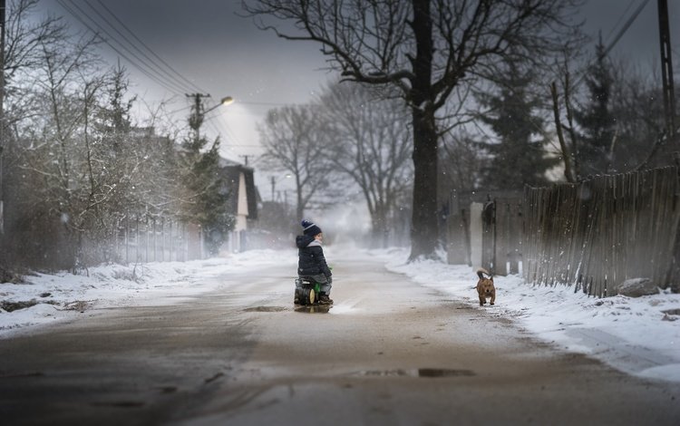дорога, снег, зима, собака, дети, мальчик, road, snow, winter, dog, children, boy