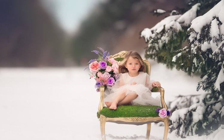 цветы, кресло, снег, зима, настроение, розы, дети, девочка, ель, flowers, chair, snow, winter, mood, roses, children, girl, spruce