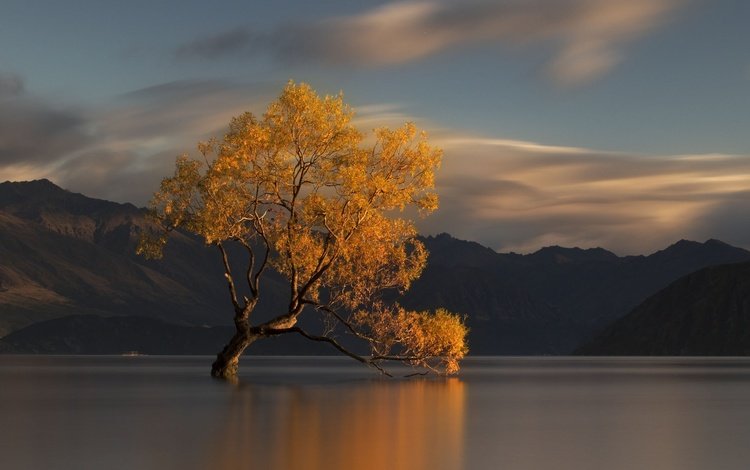вода, озеро, горы, природа, дерево, осень, новая зеландия, water, lake, mountains, nature, tree, autumn, new zealand