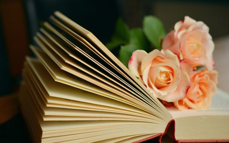 цветы, розы, букет, книга, страницы, flowers, roses, bouquet, book, page