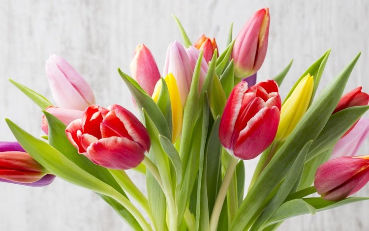 цветы, букет, тюльпаны, дерева, красива, тульпаны,  цветы, парное, красочная, flowers, bouquet, tulips, wood, beautiful, fresh, colorful