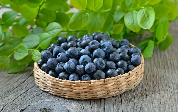 ягоды, черника, корзинка, черничный, berries, blueberries, basket, blueberry