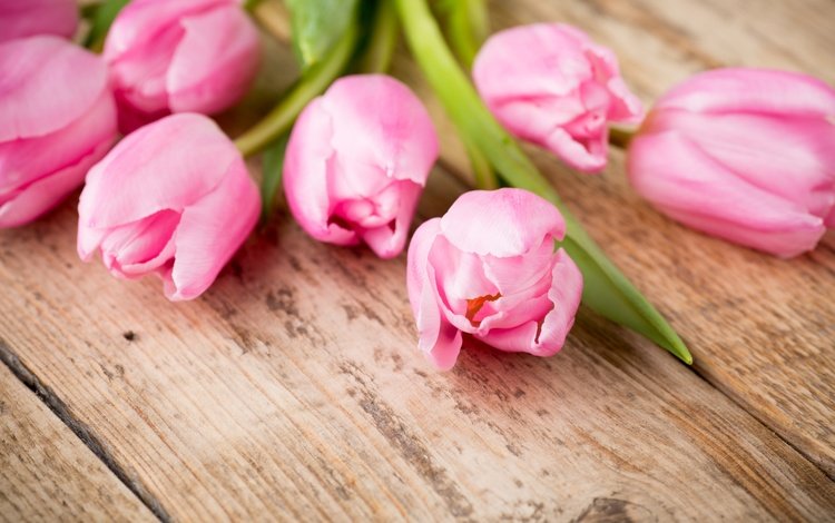 цветы, пинк, букет, тюльпаны, розовые, дерева, красива, тульпаны,  цветы, парное, flowers, bouquet, tulips, pink, wood, beautiful, fresh