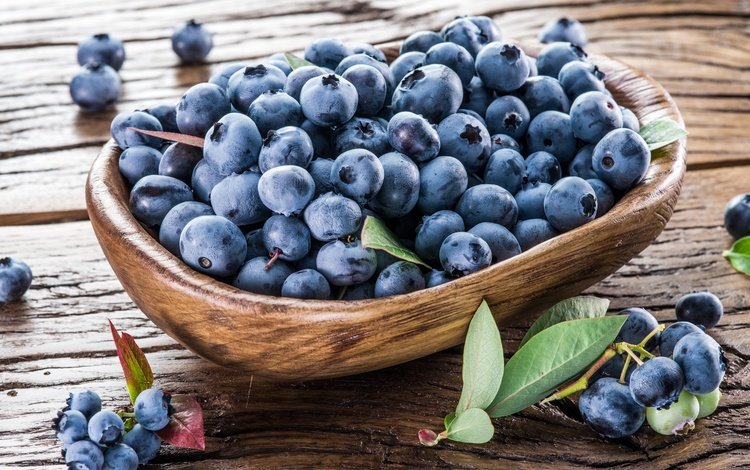 ягоды, лесные ягоды, черника, корзинка, дерева, парное, черничный, berries, blueberries, basket, wood, fresh, blueberry