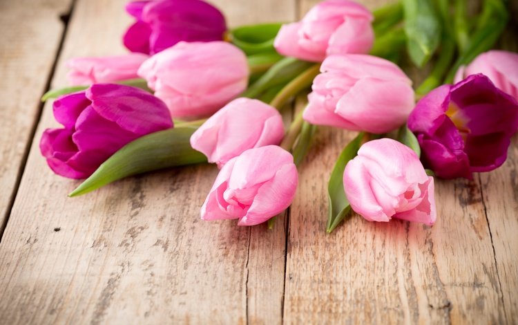 цветы, пинк, букет, тюльпаны, розовые, дерева, красива, тульпаны,  цветы, парное, flowers, bouquet, tulips, pink, wood, beautiful, fresh