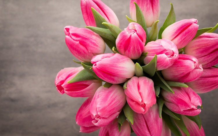 цветы, букет, тюльпаны, розовые, красива, тульпаны,  цветы, парное, весенние, flowers, bouquet, tulips, pink, beautiful, fresh, spring