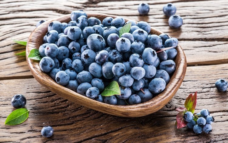 ягоды, лесные ягоды, черника, корзинка, голубика, парное, черничный, berries, blueberries, basket, fresh, blueberry