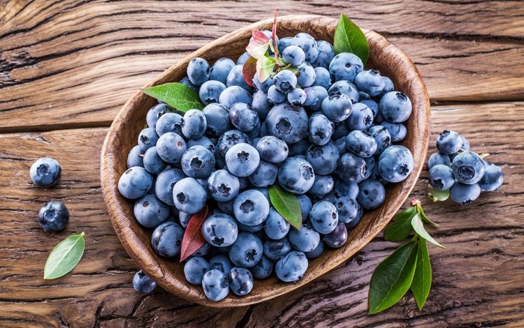 ягоды, лесные ягоды, черника, корзинка, голубика, парное, черничный, berries, blueberries, basket, fresh, blueberry