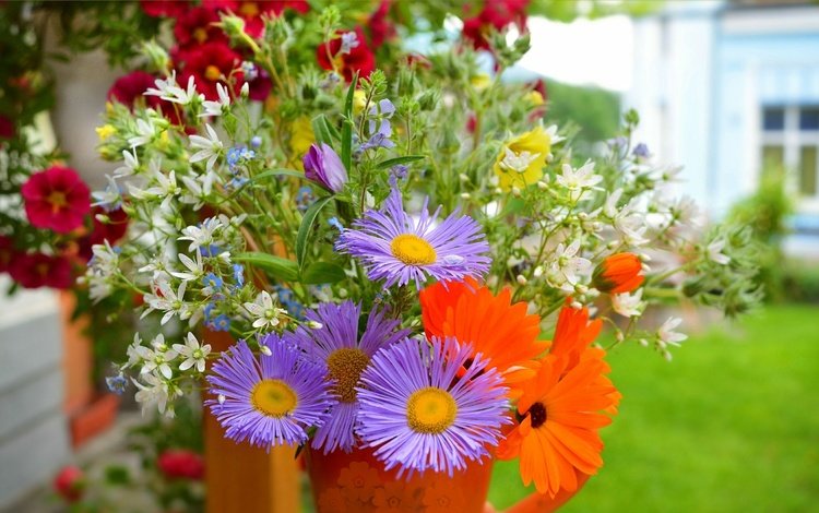 цветы, букет, фиолетовые, лиловые цветы, flowers, bouquet, purple, purple flowers