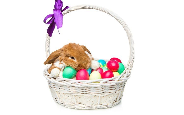 корзина, яйца крашеные, кролик, пасха, глазунья, декорация, весенние, зеленые пасхальные, довольная, зайка, bunny, basket, the painted eggs, rabbit, easter, eggs, decoration, spring, happy