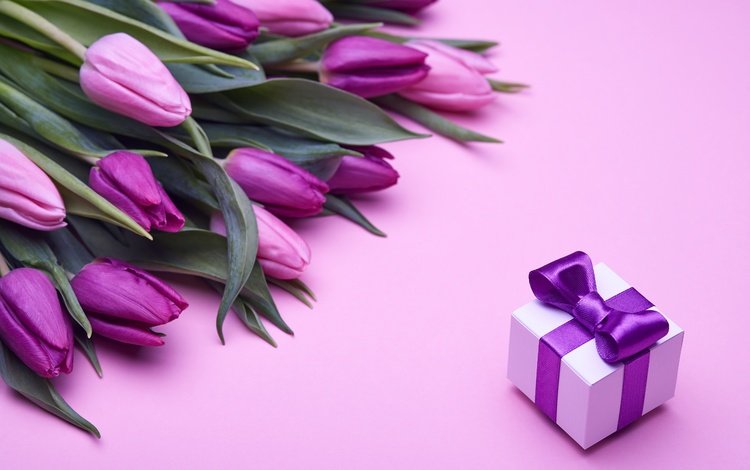 букет, влюбленная, тюльпаны, пинк, розовые, лиловая, подарок, романтик, бант, тульпаны,  цветы, парное, fresh, bouquet, love, tulips, pink, purple, gift, romantic, bow, flowers