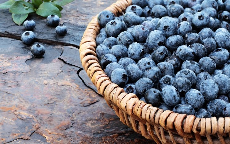 ягоды, лесные ягоды, черника, корзинка, дерева, голубика, парное, черничный, berries, blueberries, basket, wood, fresh, blueberry