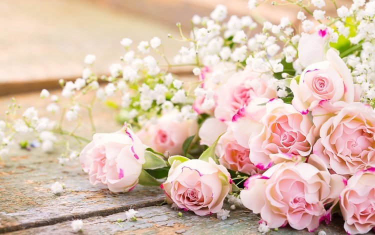 цветы, розы, букет, романтик,  цветы, роз, пинк, flowers, roses, bouquet, romantic, pink